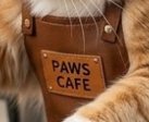 Close-up of a brown leather dog collar tag reading "PAWS CAFE"