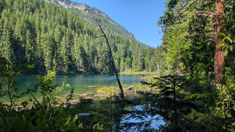 Turquoise alpine lake nestled in dense evergreen forest below a rocky mountain peak under a clear bright blue summer sky.