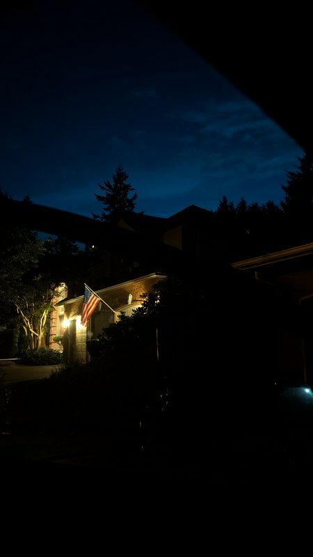 Lit suburban home entry with American flag, silhouetted trees under deep blue twilight night sky