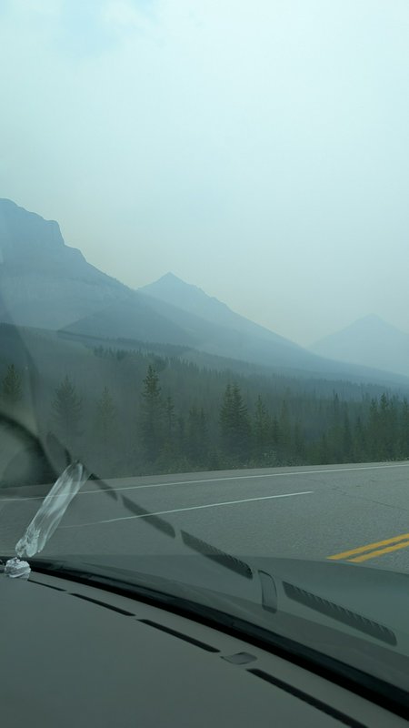 View from inside a car looking out at a hazy mountain highway lined with evergreen pines and distant misty peaks