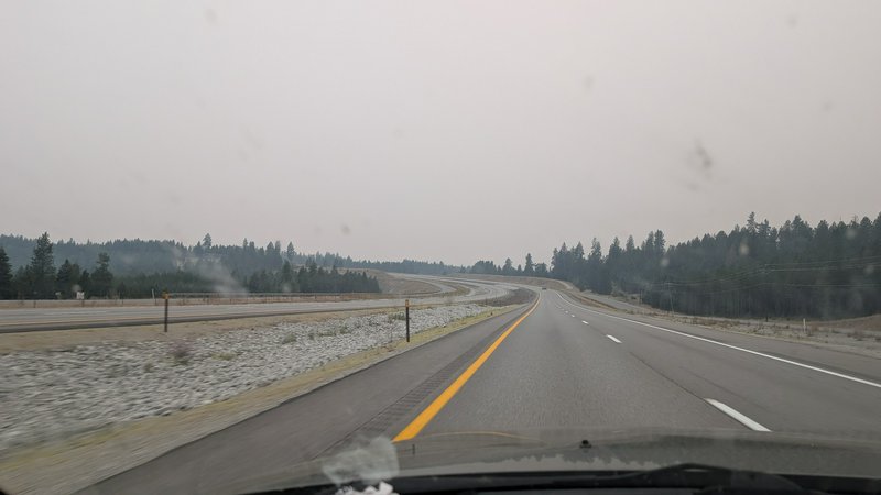 Driver's view from a moving vehicle of a curving divided highway through pine forests under hazy ...