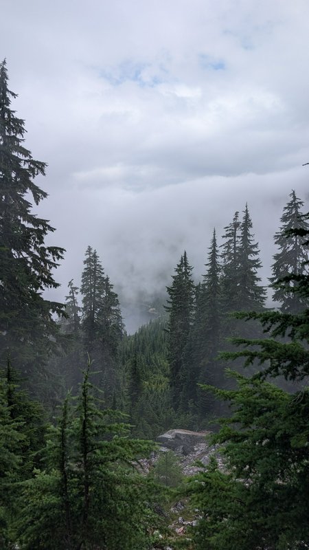 Misty fog drifts through an alpine mountain valley framed by tall evergreen pine trees under an o...