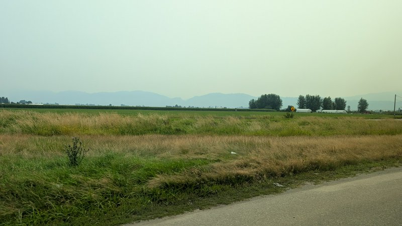 Hazy rural roadside landscape with grassy farm fields, distant misty mountains, and tree clusters...