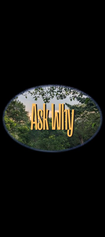 Oval vignette of dusk forest treetops with bold yellow "Ask Why" text, set against a solid black ...