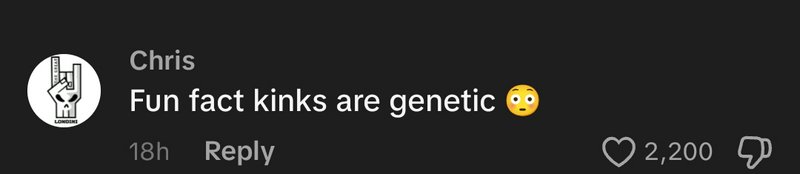 Screenshot of dark mode social media comment from Chris reading "Fun fact kinks are genetic" next...