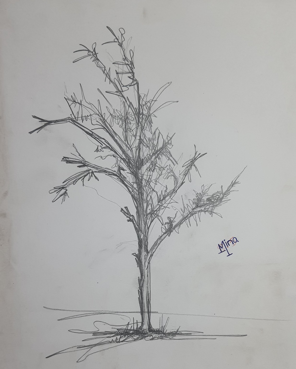 Loose pencil sketch of a slender young sparse tree — AI art by ...