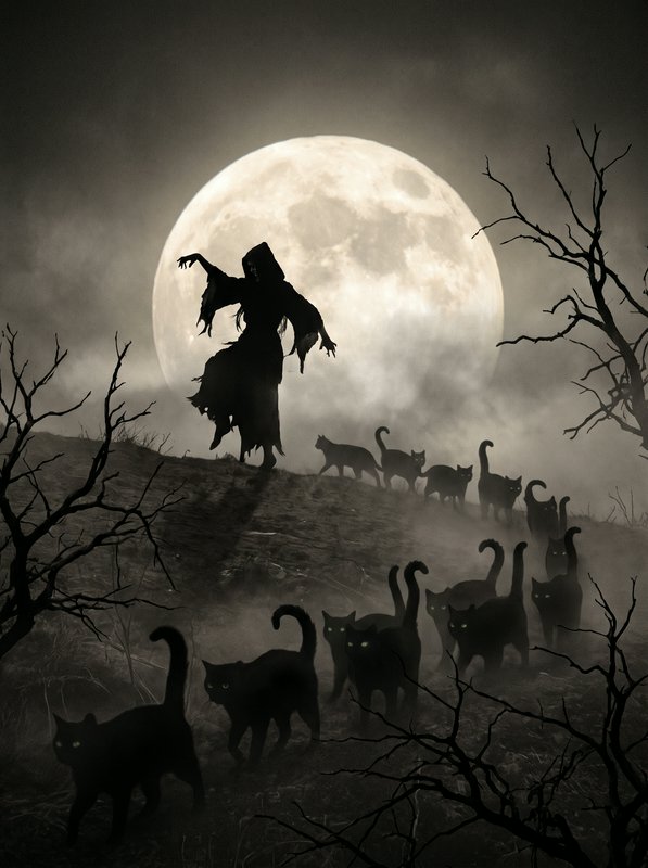 Hooded witch silhouette leads a procession of glowing-eyed black cats across a misty hill under a giant full moon