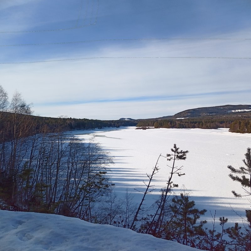 Scenic overlook of a snow-covered frozen lake surrounded by boreal forest on a bright winter day