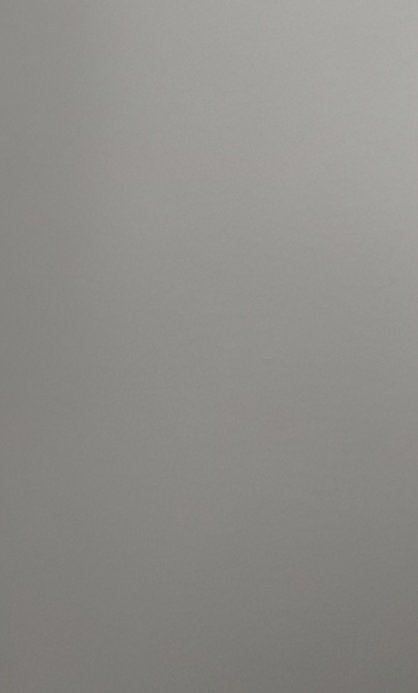 Plain matte soft light gray textured background with subtle fine grain, no distinct objects or pa...