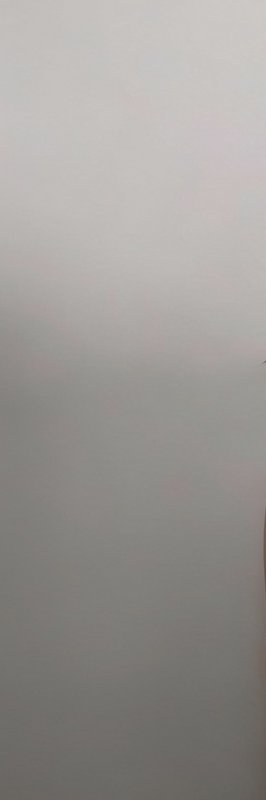 Blurred plain matte light off-white interior wall with subtle warm undertones, narrow vertical tr...