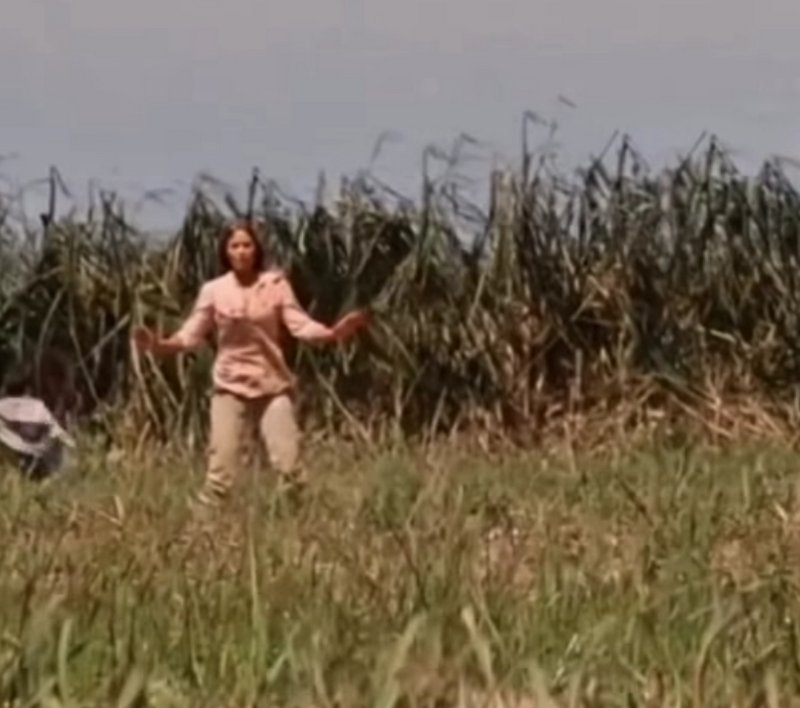 Woman with outstretched arms stands at the edge of a tall sugarcane field under a hazy sunny sky