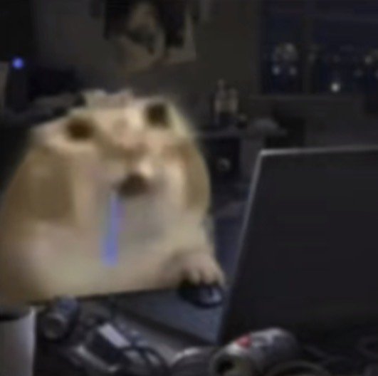 Blurry shocked Doge meme drooling while sitting at a home desk next to a laptop in dim lighting