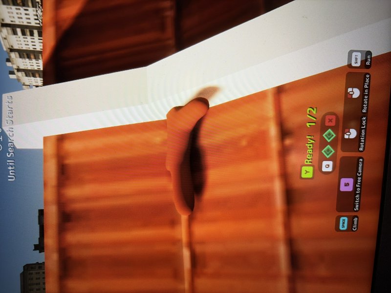 Tilted screen capture of a cozy 3D multiplayer hide-and-seek game, showing UI, match countdown, a...