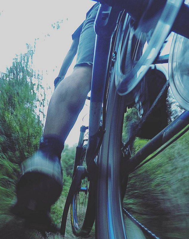 Low-angle motion-blurred POV shot of cyclist pedaling a mountain bike on a grassy wooded trail