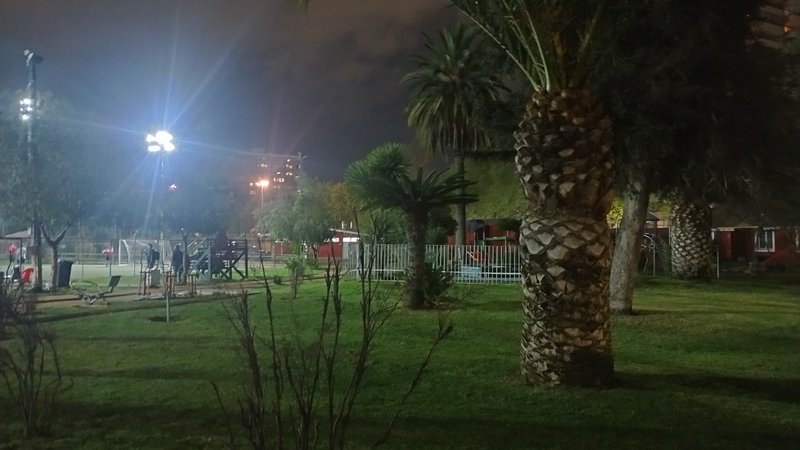 Lit urban public park at night, with palm trees, grass lawn and floodlit sports field