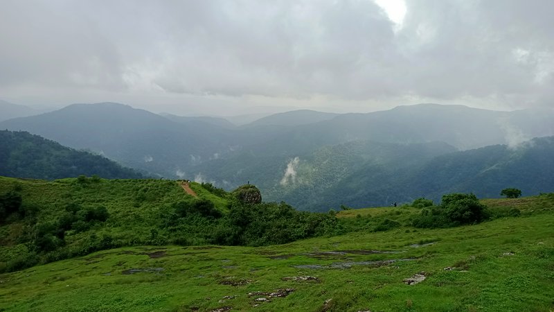 Misty overcast view of layered forested mountains from a lush green grassy hilltop