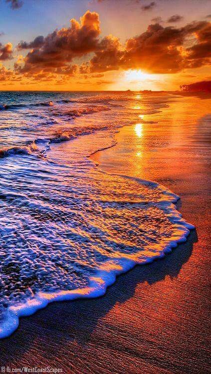Sunset over a sandy beach with foaming waves and a vibrant orange sky.