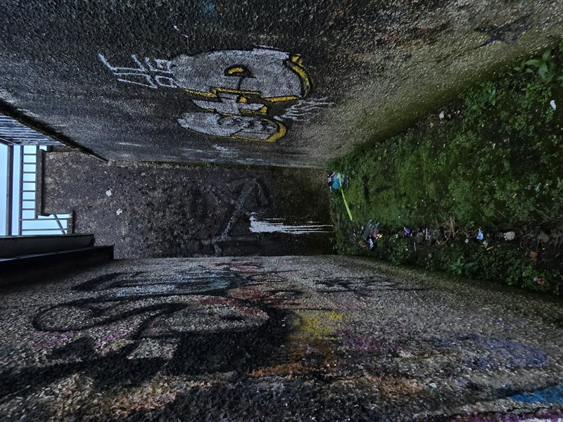Graffiti tags and cartoon street art on a rough weathered concrete rooftop next to mossy grass and metal railing