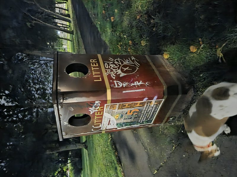 Graffiti-covered park litter bin sits next to a beagle dog along a dusk walking path