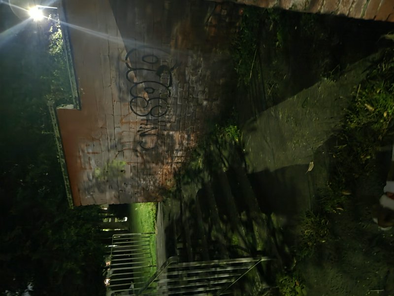 Night view of a graffiti-covered brick wall next to a lit residential alley path
