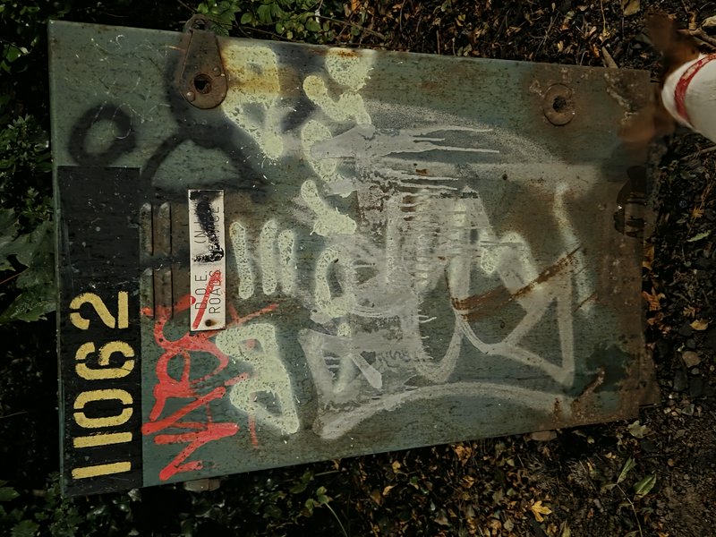 Graffiti covered rusted metal utility panel rests on leafy overgrown woodland ground
