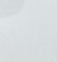 Soft blurred pale light gray neutral background with a faint subtle curved highlight in the upper left corner