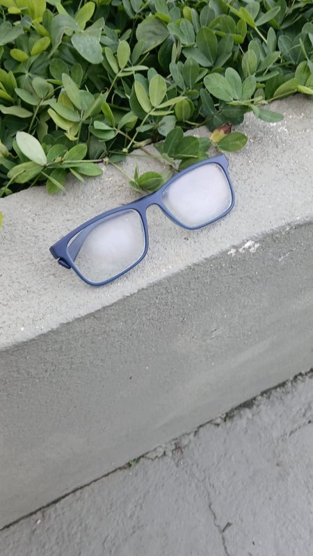 Matte blue rectangular eyeglasses resting on a concrete planter edge beside lush green outdoor fo...