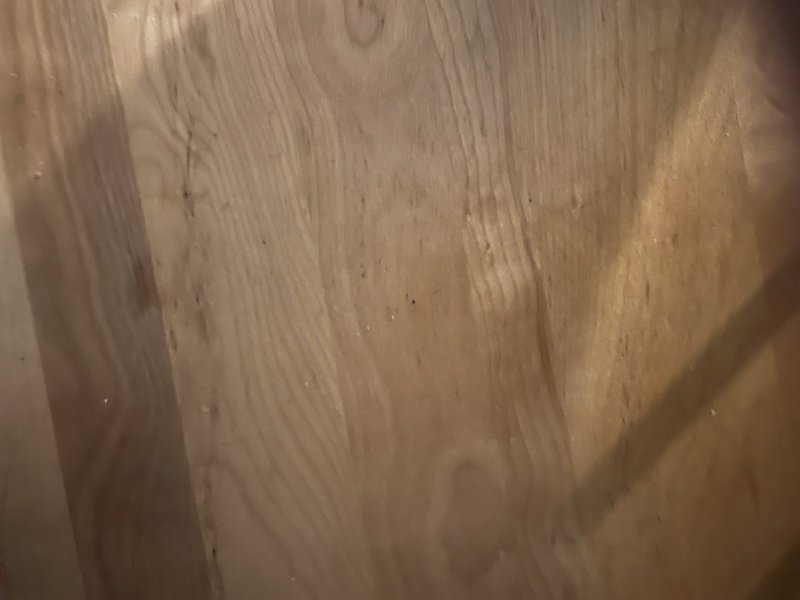 Close up of light natural oak wood grain surface with soft diagonal shadow patterns