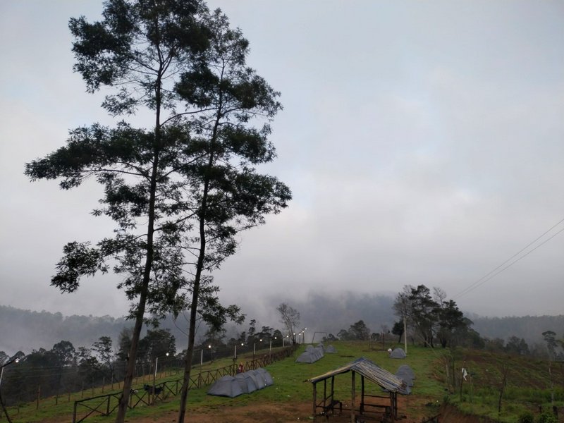 [Foggy hilltop campsite with pitched tents, tall evergreen trees, and mist-shrouded forested mountains at dawn]