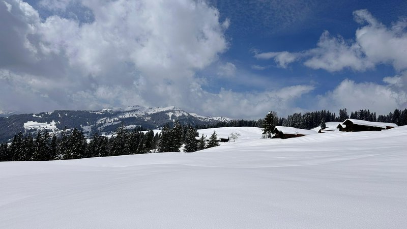 Vast snow-covered alpine meadow with wooden chalets, pine forests, and distant peaks under a brig...