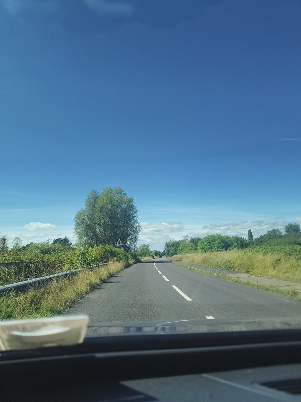 Driver's view from inside a car looking down an empty tree-lined rural road under a bright clear ...