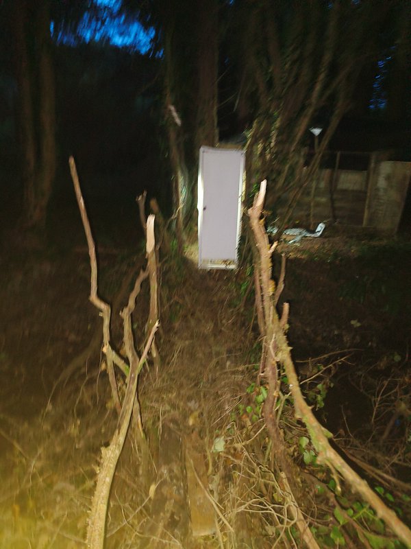Blurry night shot of a mysterious standalone white door sitting inexplicably in a dark overgrown ...