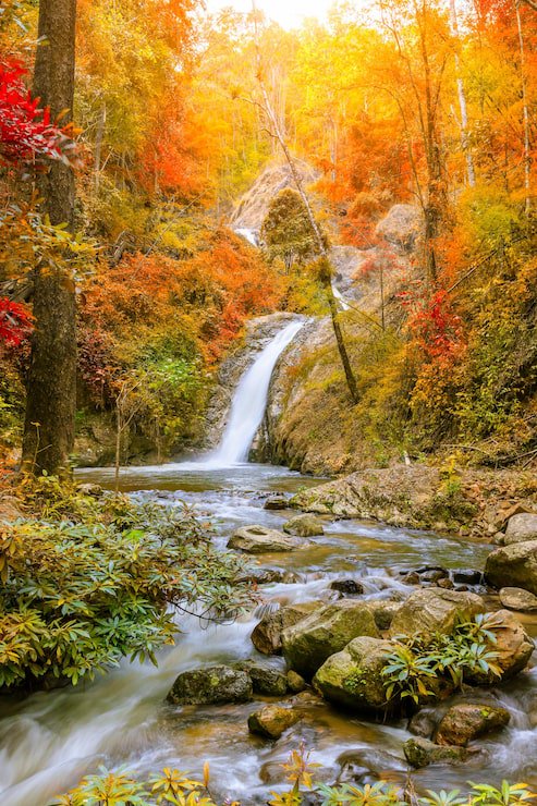 Sunlit cascading waterfall flows into a rocky stream surrounded by vibrant orange, red, and gold ...