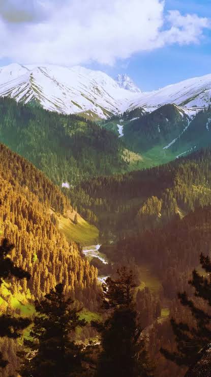 High angle view of alpine valley, sunlit forest slopes, winding river, and snow-capped mountains ...