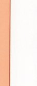 Minimal vertical abstract design with soft peach left border next to empty bright white space