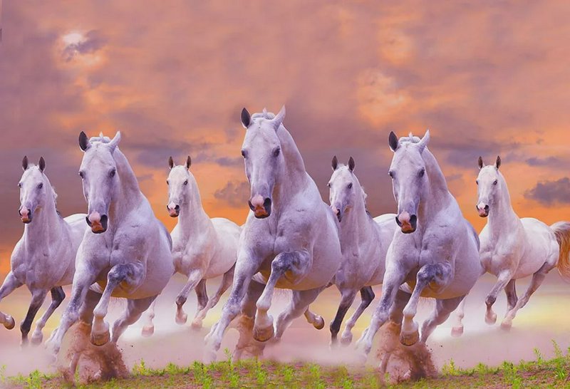 Seven white horses gallop across dusty grass beneath a warm pastel sunset sky