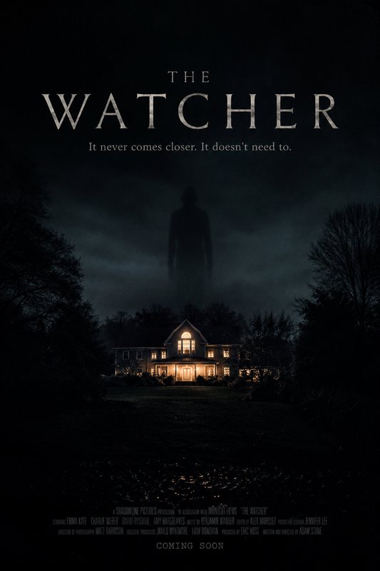 Dark horror poster featuring a lit house at night with a hazy, looming silhouette in the fog.