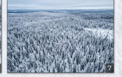 Aerial view of a vast snow-covered boreal forest stretching across rolling winter hills