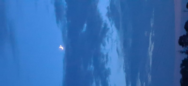 Glowing crescent moon peeks through wispy clouds and dark tree silhouettes in a deep blue dusk sky.