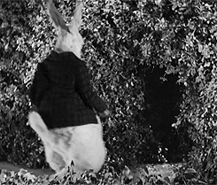Grainy black and white shot of a person in a dark jacket viewed from behind standing before a dense leafy hedge