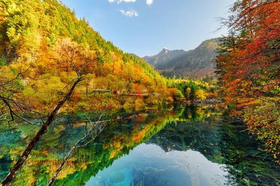 Crystal clear turquoise lake reflecting vibrant autumn forest and distant mountain peaks under bright blue sky