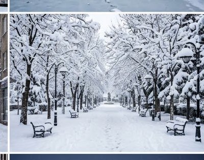Snow-covered tree-lined park promenade lined with benches and lampposts after heavy winter snowfall
