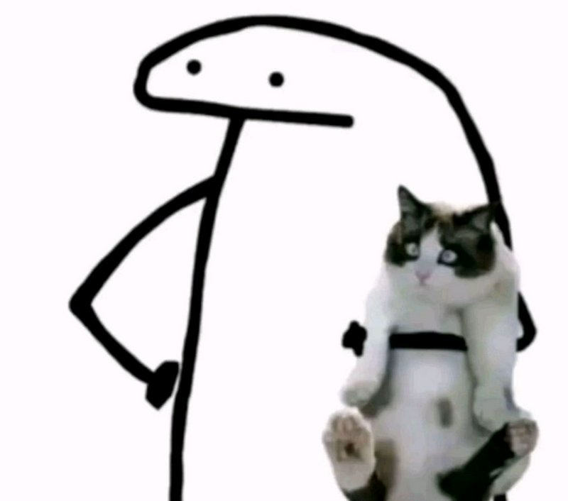 Minimalist white stick-figure holding a grumpy black-and-white cat.
