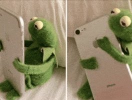 Green plush frog character taking a selfie with a smartphone on a bed.