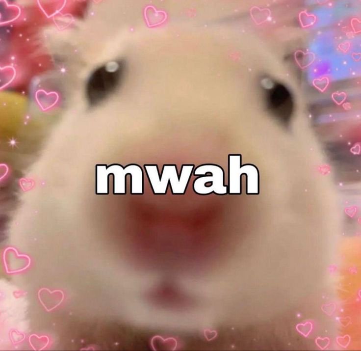 Close-up of a white hamster with pink heart overlays and the word "mwah" across its nose.