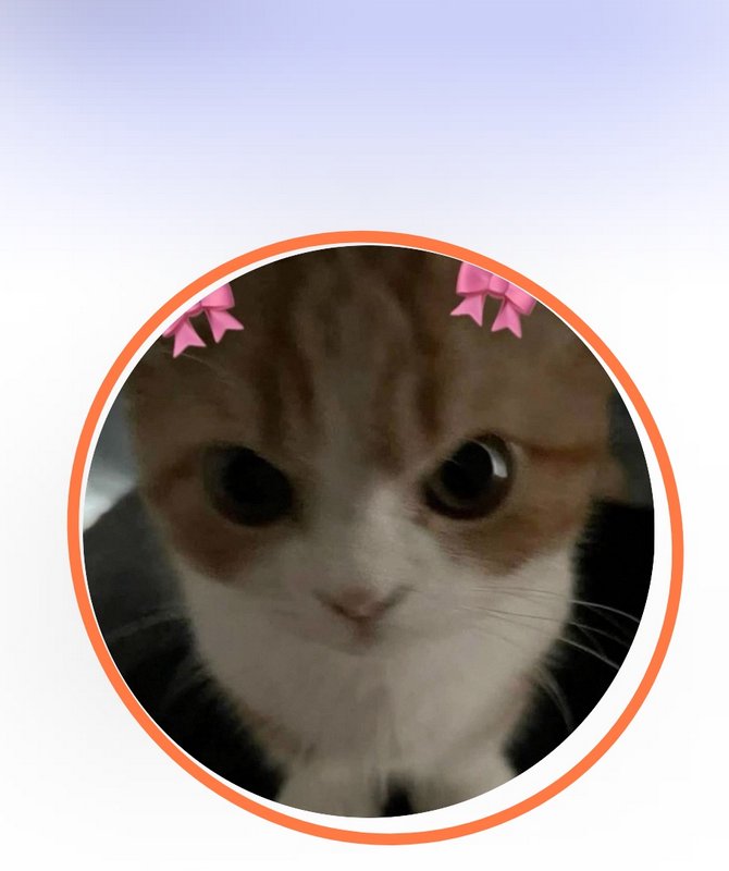 Cute orange and white kitten with big eyes inside a circular orange frame and pink bows