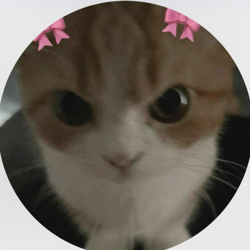 Close-up of an orange and white kitten with big eyes inside a circular frame.