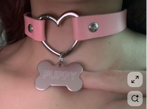 Close-up of a pink leather choker with silver heart ring and engraved "PUPPY" bone charm worn aro...