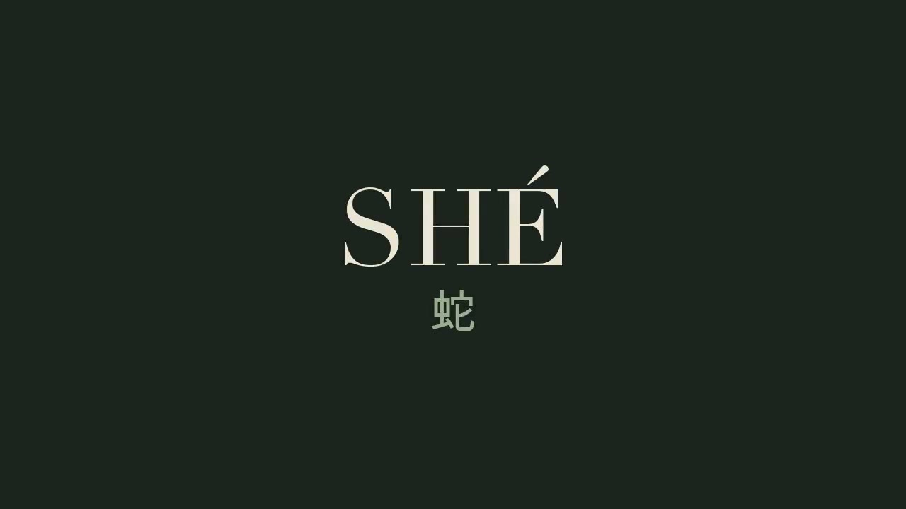 Minimalist centered graphic of cream "SHÉ" serif text above the Chinese snake character on dark f...