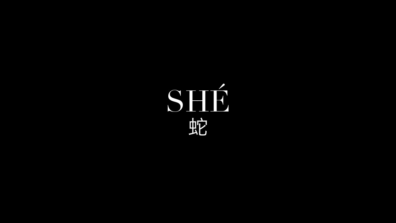 Centered white serif text reading SHÉ above the Chinese character 蛇 on a solid black title card.